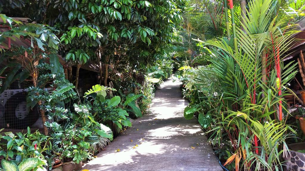 Khao Sok Las Orquideas Resort Khao Sok National Park Exterior foto